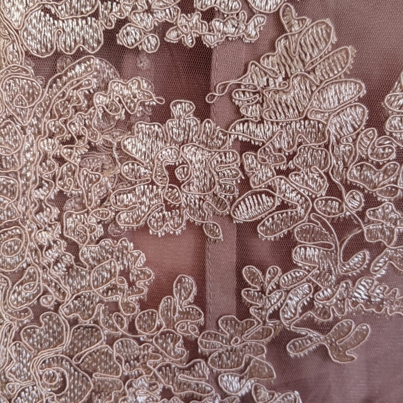 A Night in Tokyo Lace Dress NWT - Picture 7 of 9